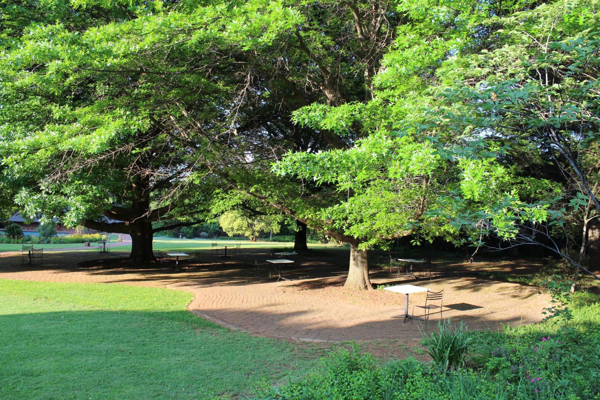 Whispering Pines Country Estate Villa Magaliesburg Bagian luar foto